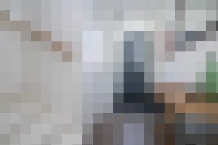 Ed Hoornikpad 4 Middelharnis thumbnail 6