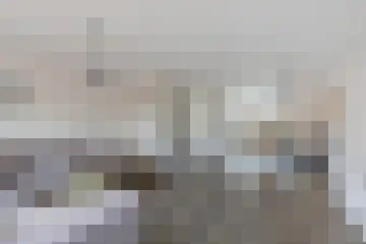 Ed Hoornikstraat 12 Almere thumbnail 7