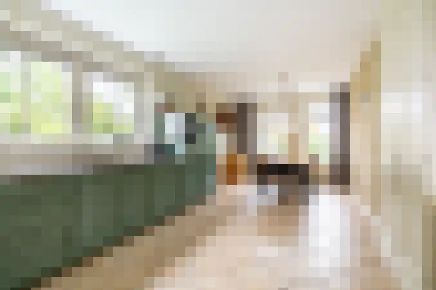 Edammerdijkje 16 Middelie thumbnail 24