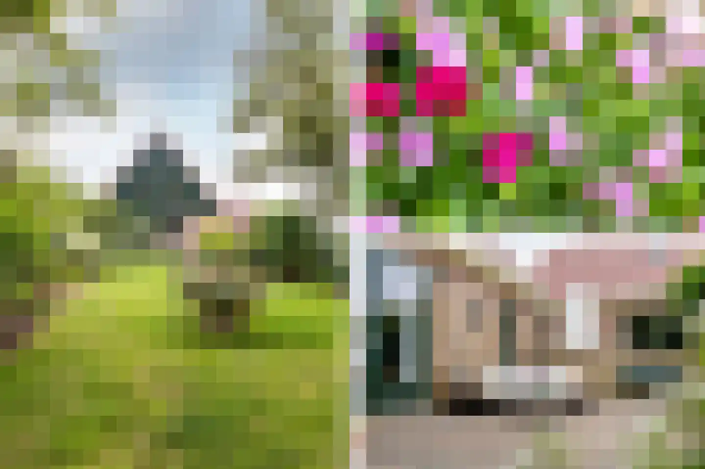 Edammerdijkje 16 Middelie thumbnail 4