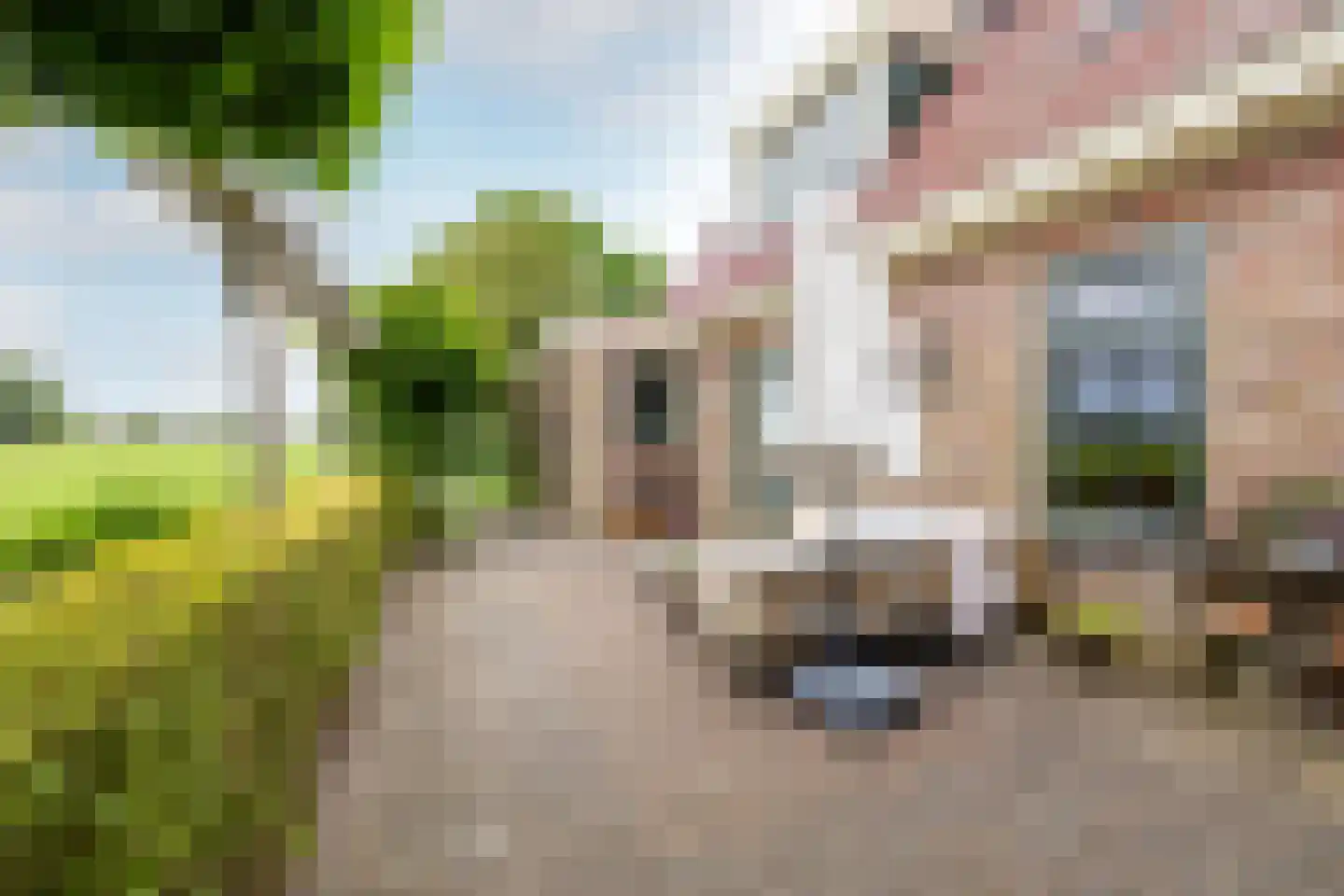 Edammerdijkje 16 Middelie thumbnail 48
