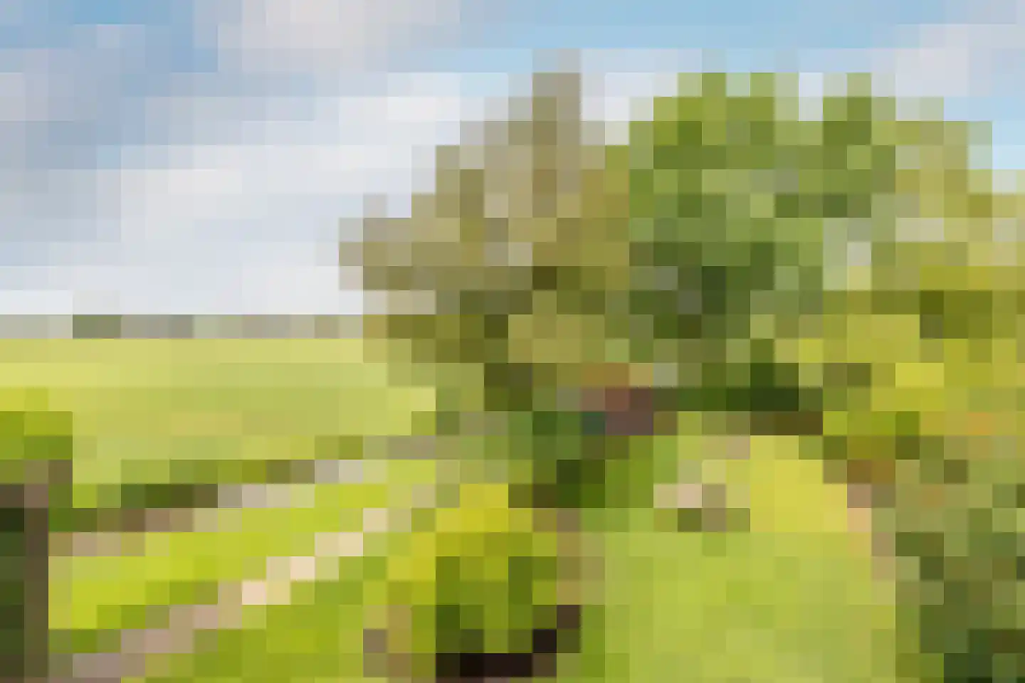 Edammerdijkje 16 Middelie thumbnail 5