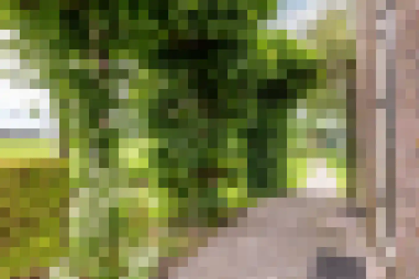 Edammerdijkje 16 Middelie thumbnail 50