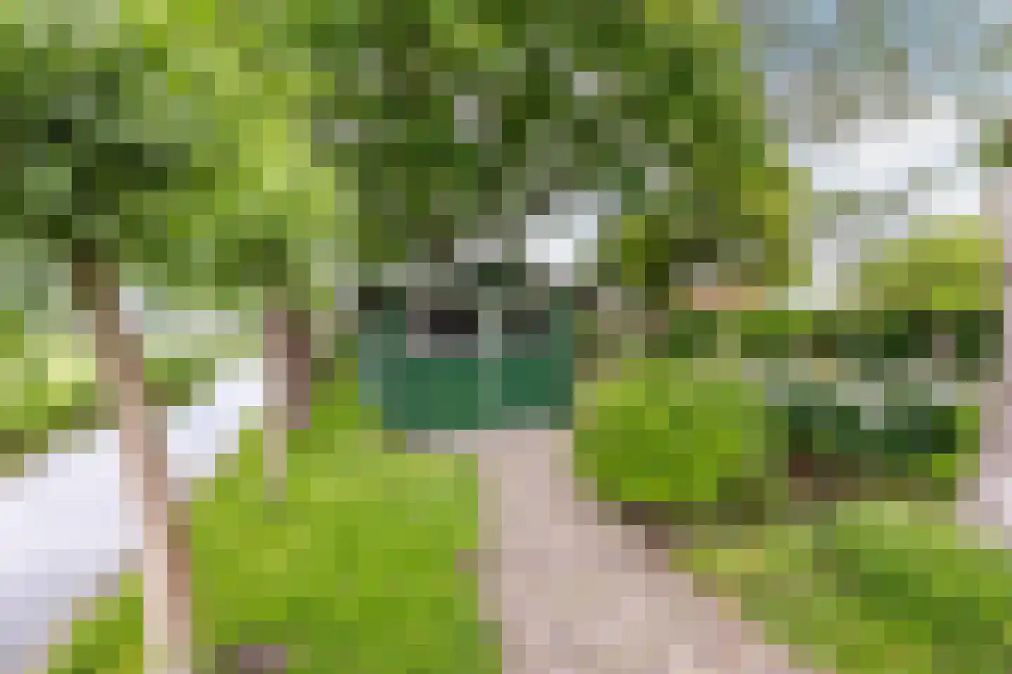 Edammerdijkje 16 Middelie thumbnail 53