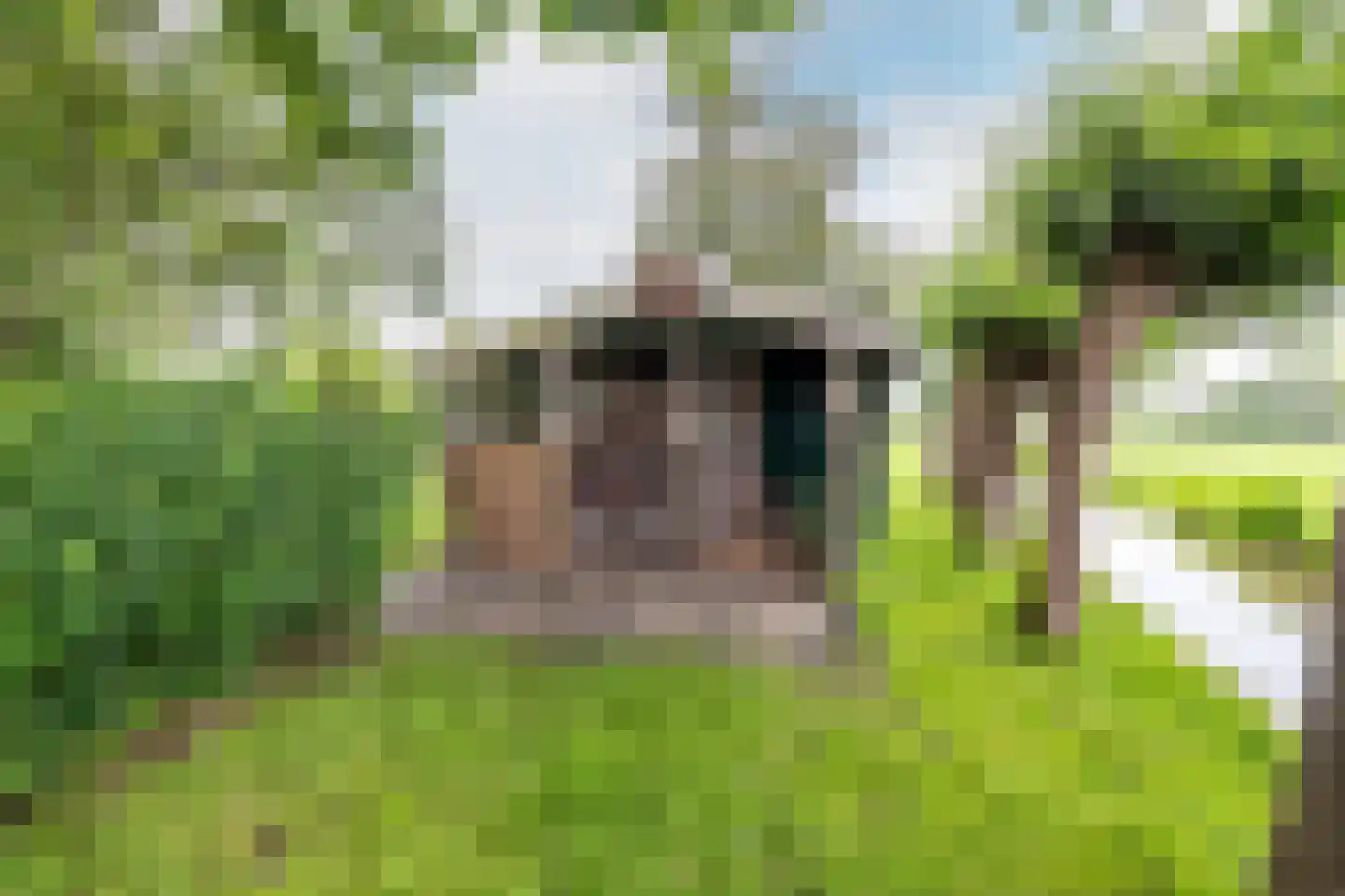 Edammerdijkje 16 Middelie thumbnail 57