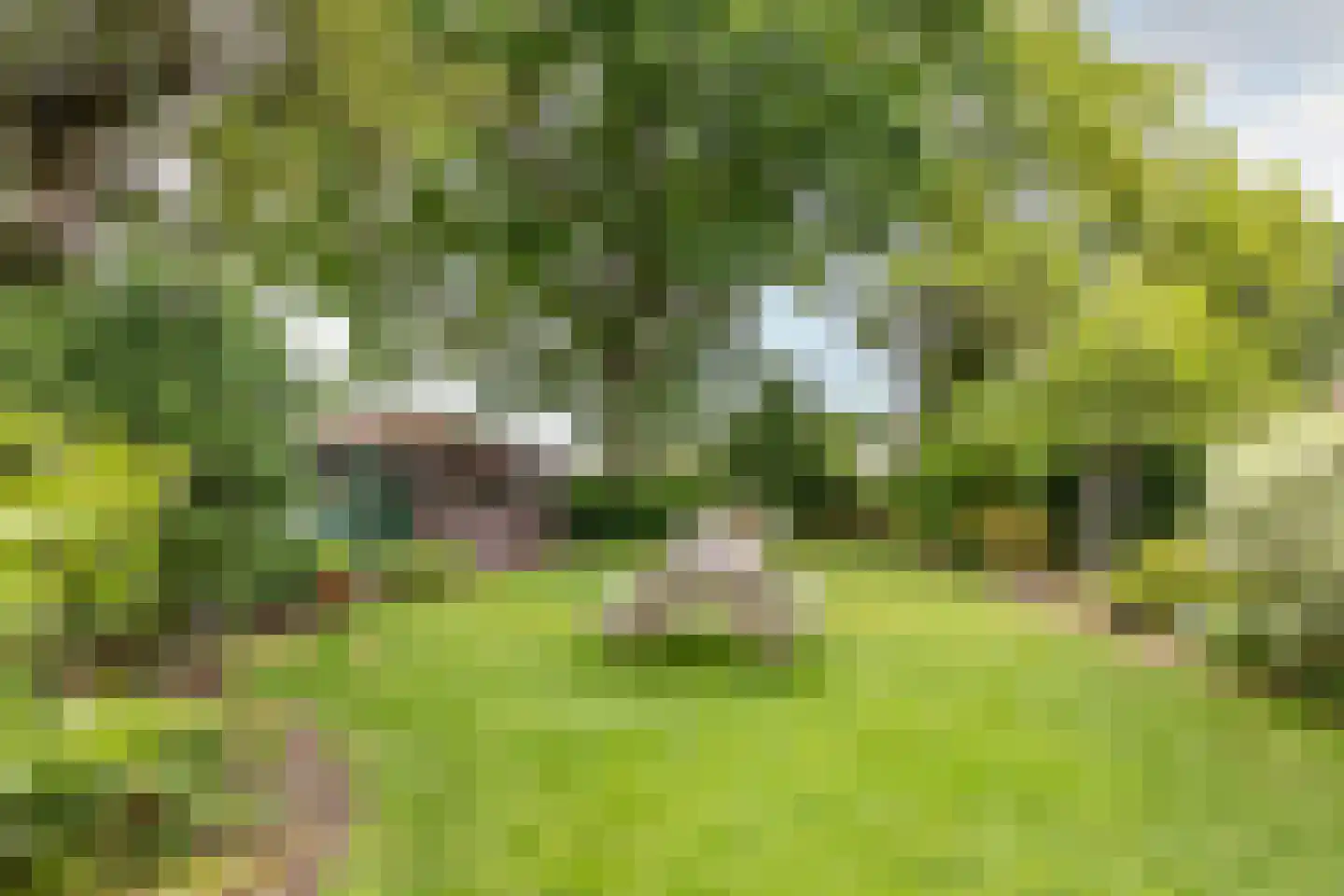 Edammerdijkje 16 Middelie thumbnail 58