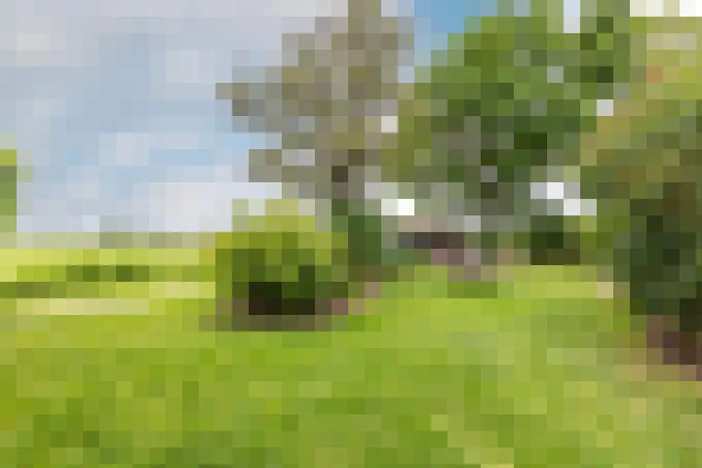 Edammerdijkje 16 Middelie thumbnail 59