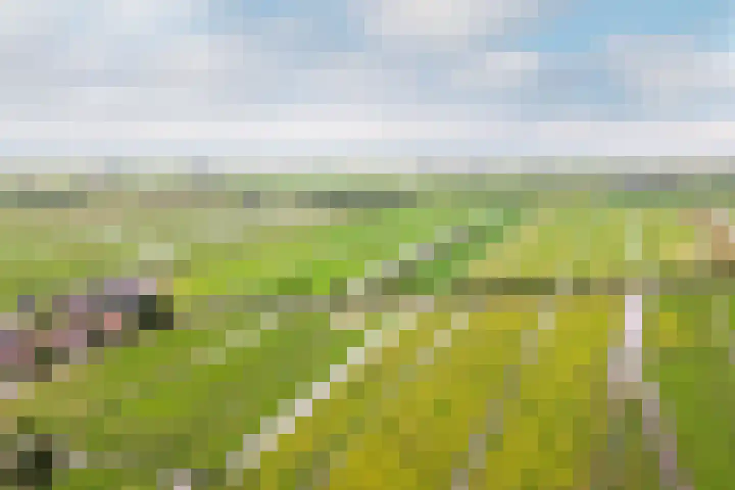 Edammerdijkje 16 Middelie thumbnail 6