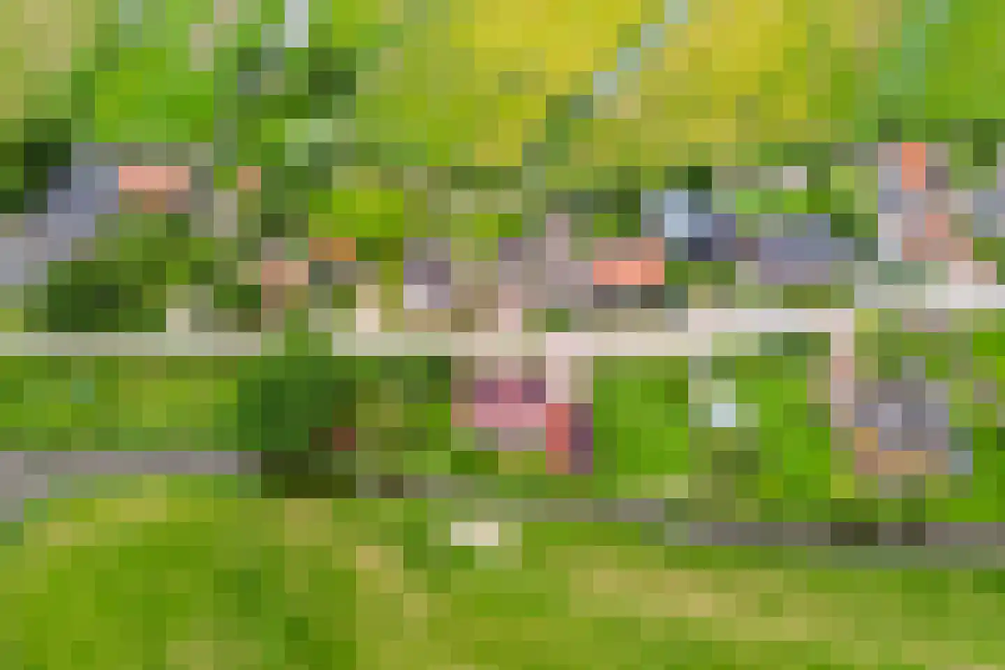 Edammerdijkje 16 Middelie thumbnail 62