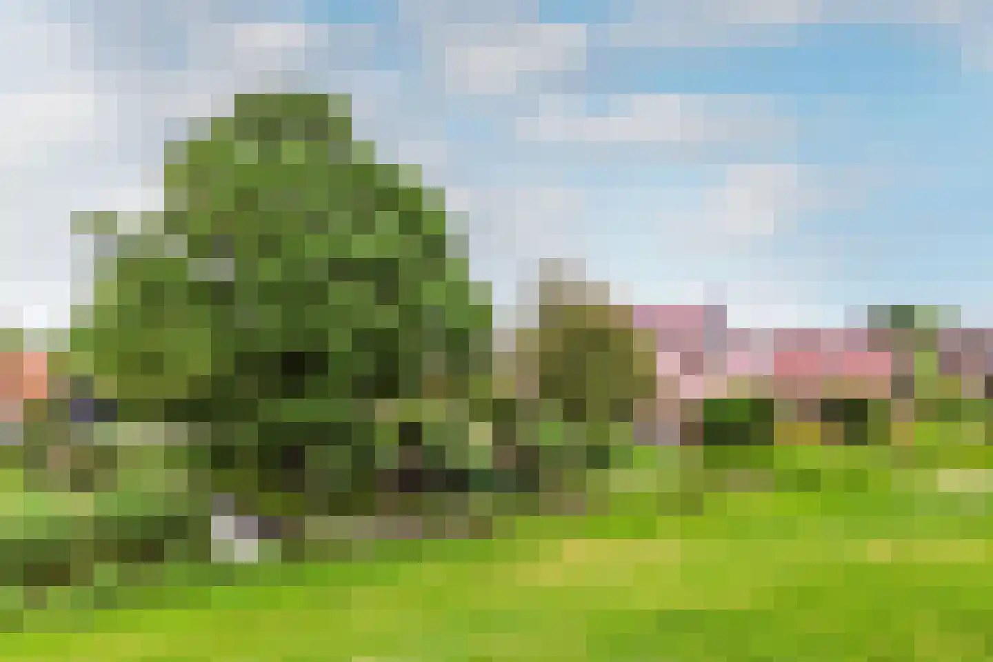 Edammerdijkje 16 Middelie thumbnail 64