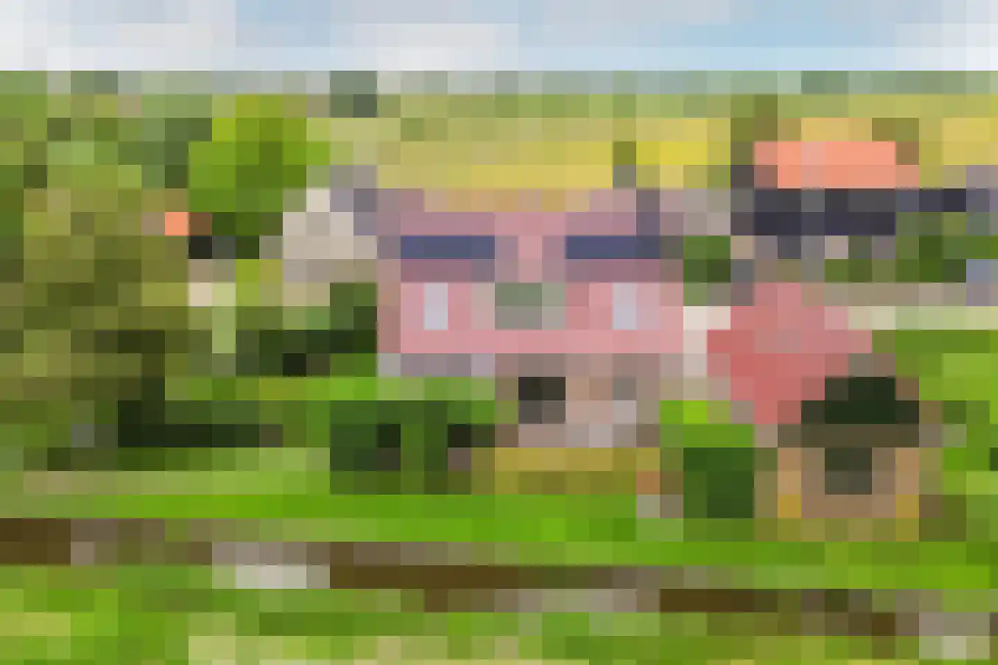 Edammerdijkje 16 Middelie thumbnail 65