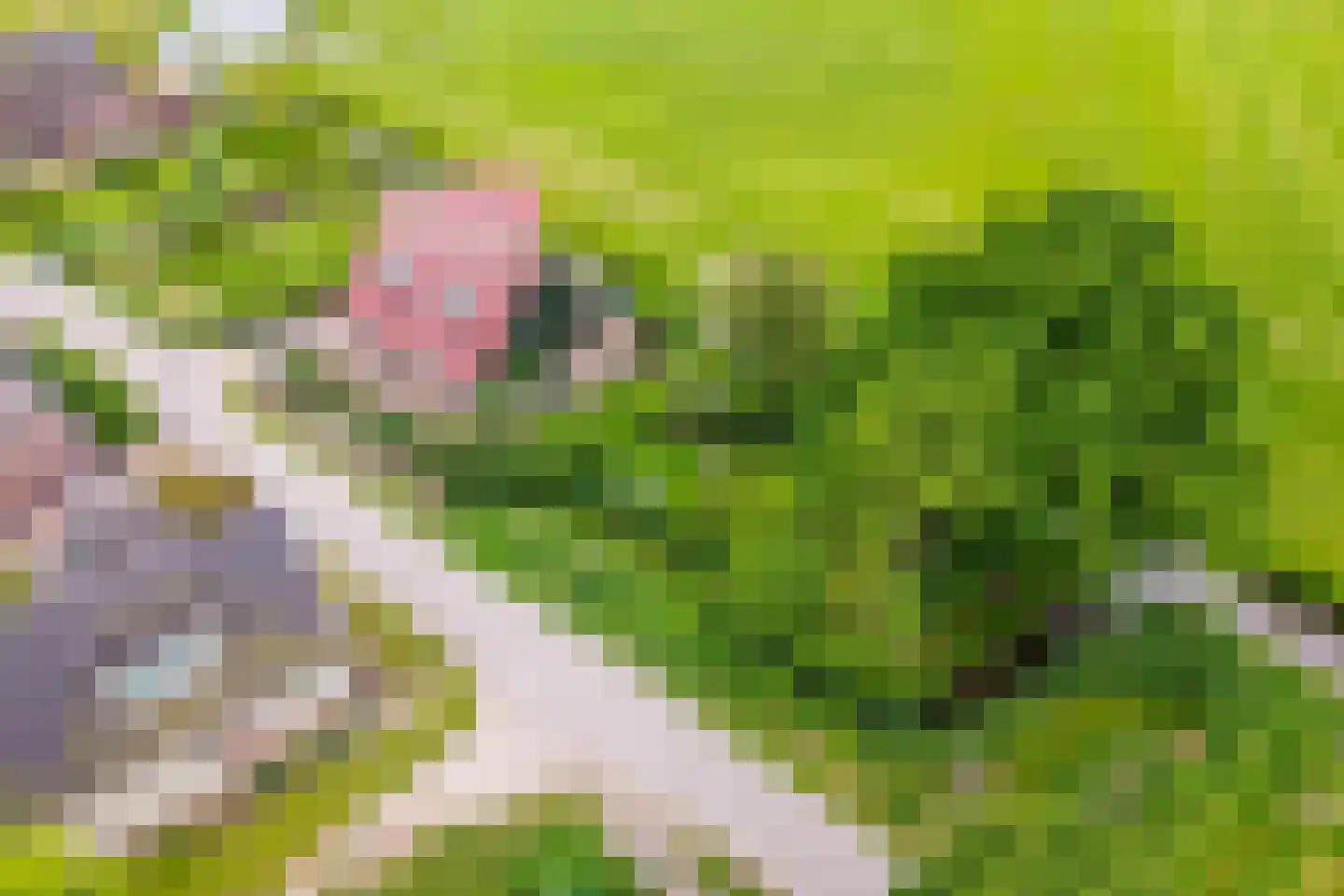 Edammerdijkje 16 Middelie thumbnail 67