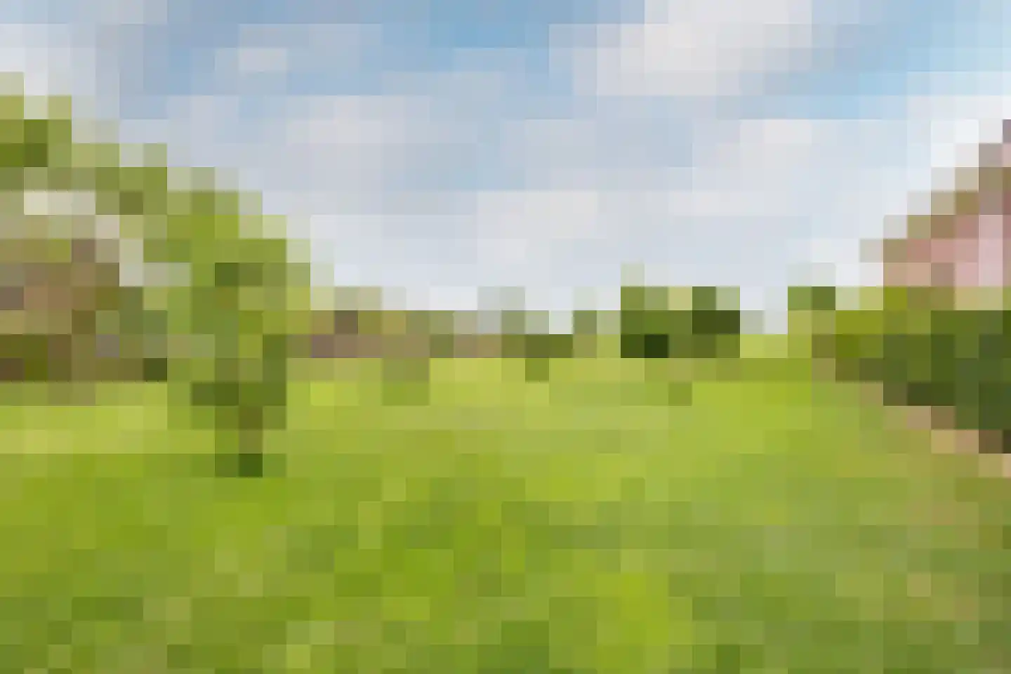 Edammerdijkje 16 Middelie thumbnail 70