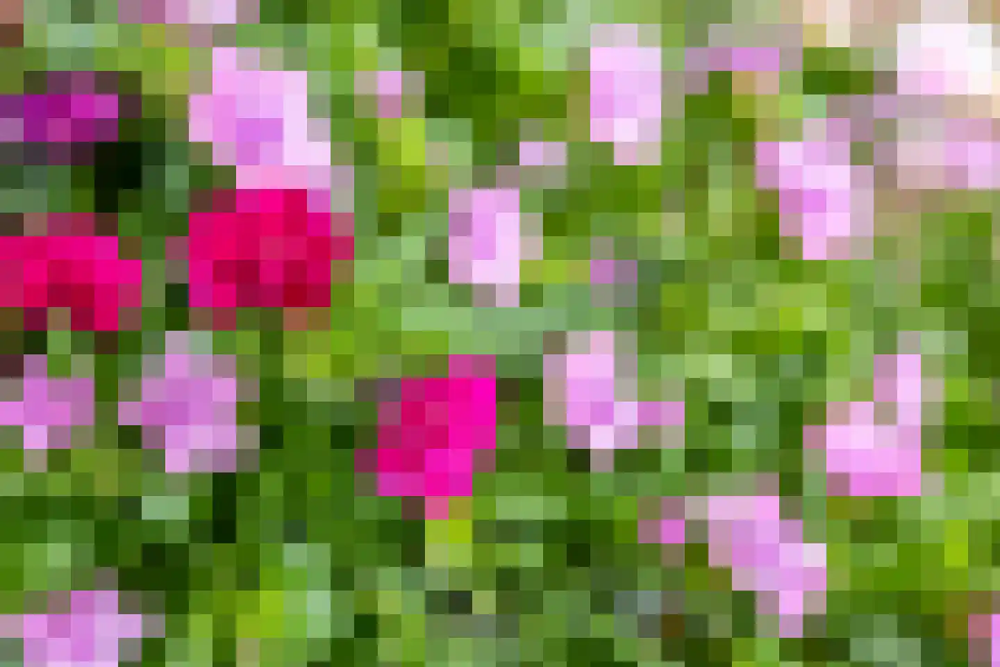 Edammerdijkje 16 Middelie thumbnail 71