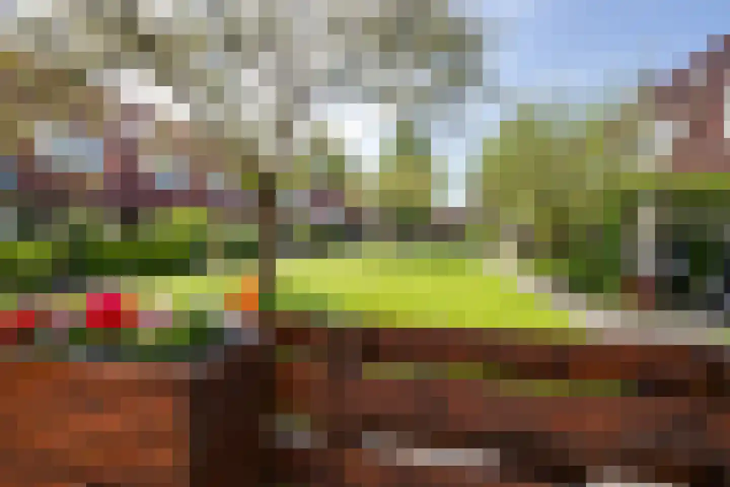 Edammerstraat 52 Amsterdam thumbnail 21