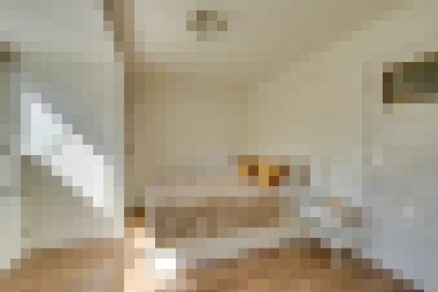 Edammerstraat 52 Amsterdam thumbnail 34