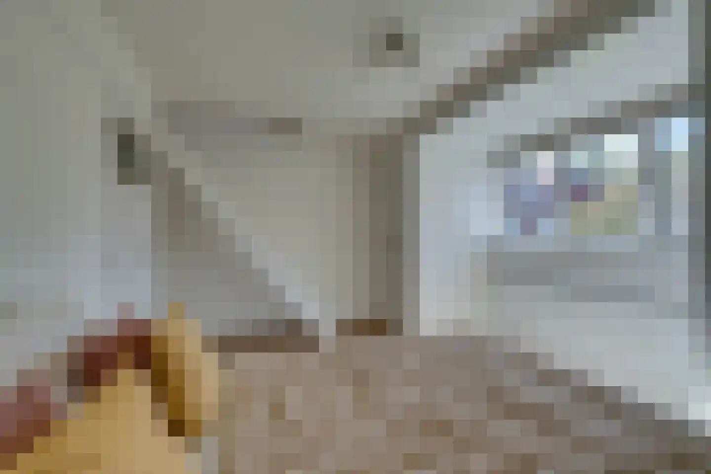 Edammerstraat 52 Amsterdam thumbnail 35