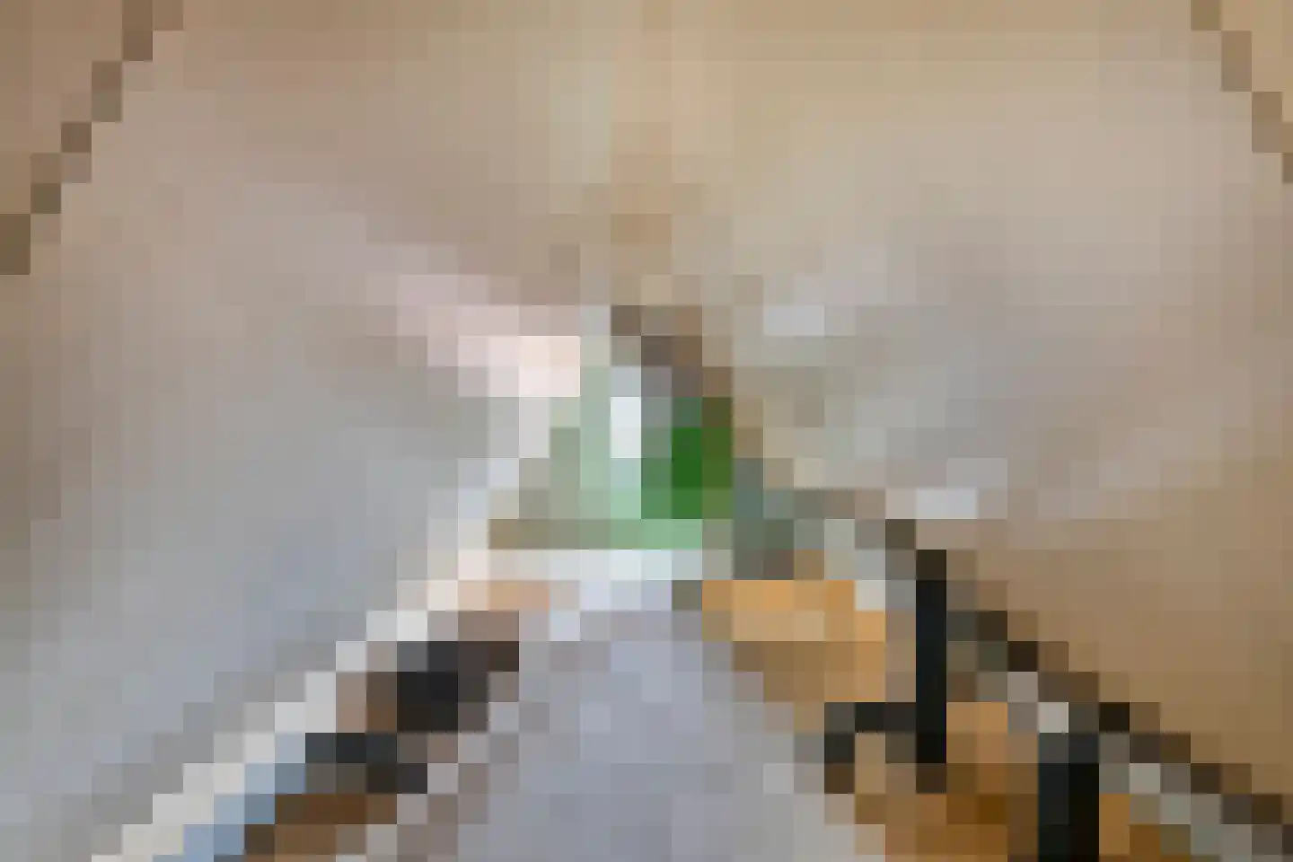 Edammerweg 29 Volendam thumbnail 33
