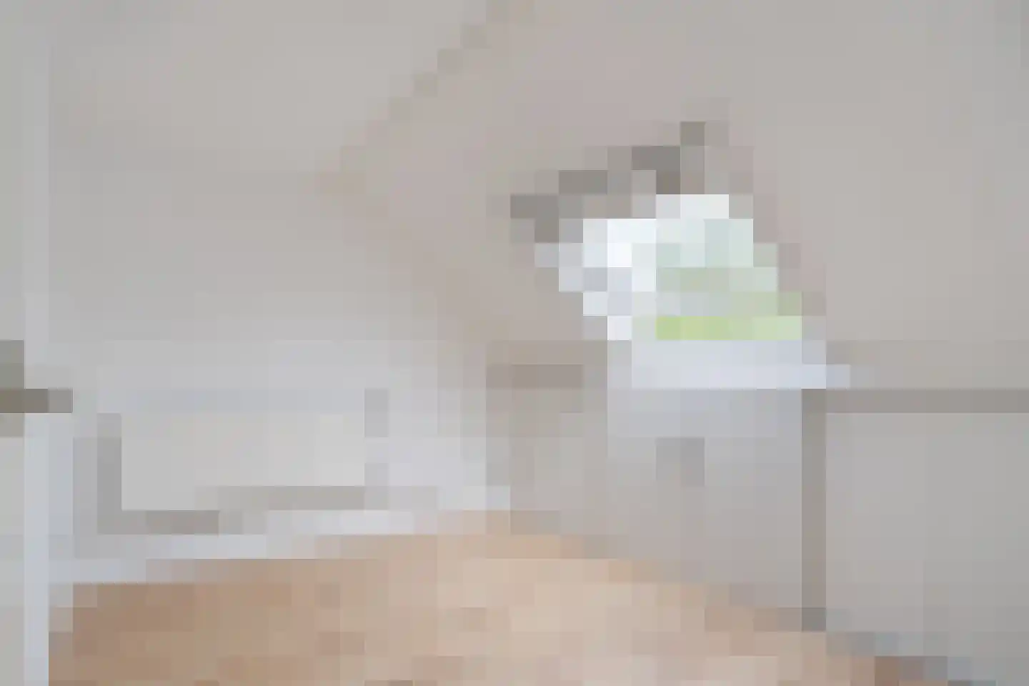 Edamstraat 21 Zaandam thumbnail 33