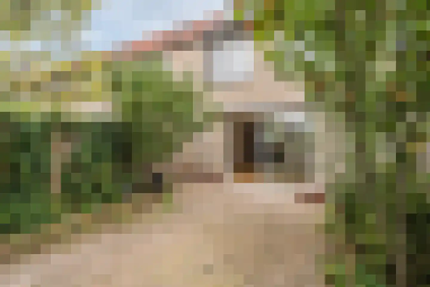 Edamstraat 21 Zaandam thumbnail 37