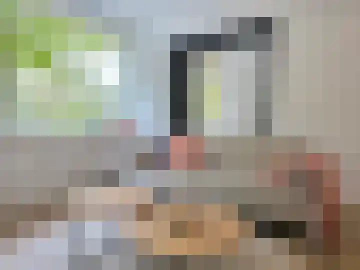 Edamstraat 9 Den Haag thumbnail 6