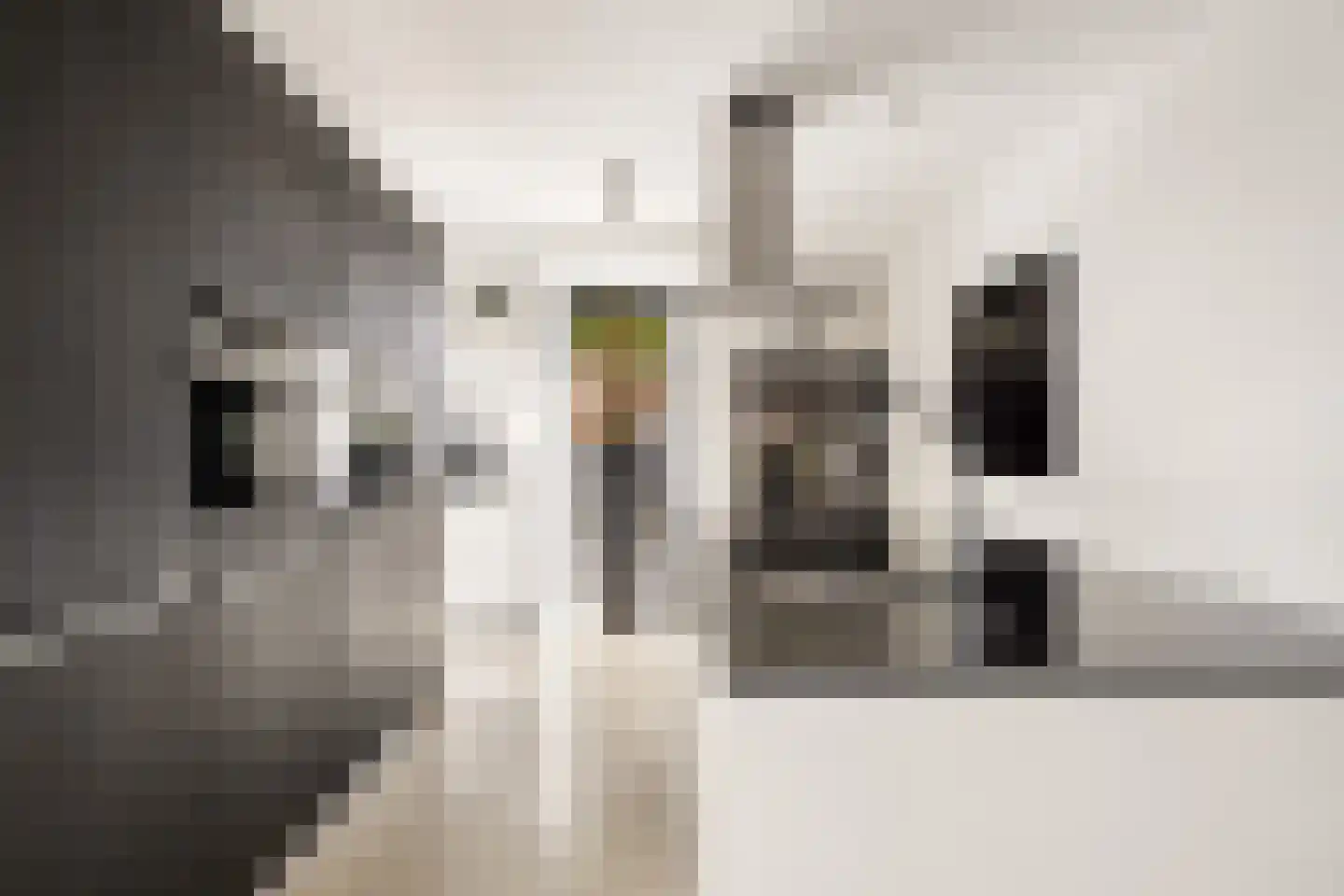Eddastraat 30 Almere thumbnail 12