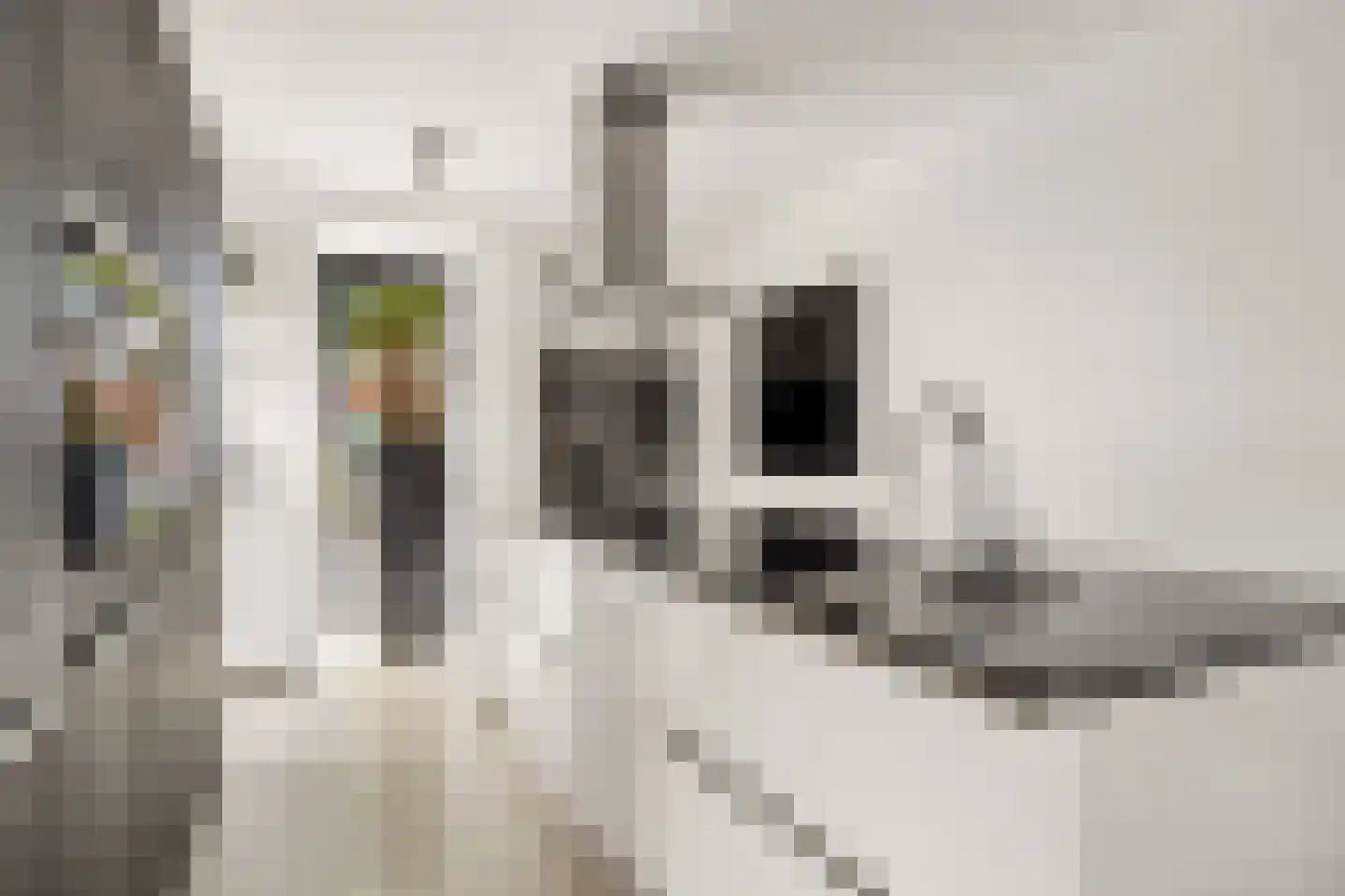 Eddastraat 30 Almere thumbnail 13