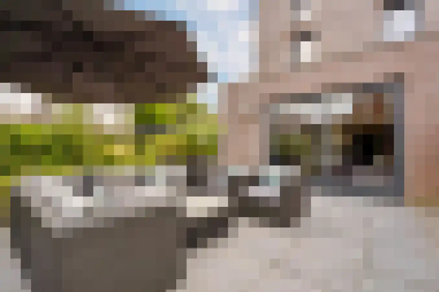 Eddastraat 30 Almere thumbnail 28