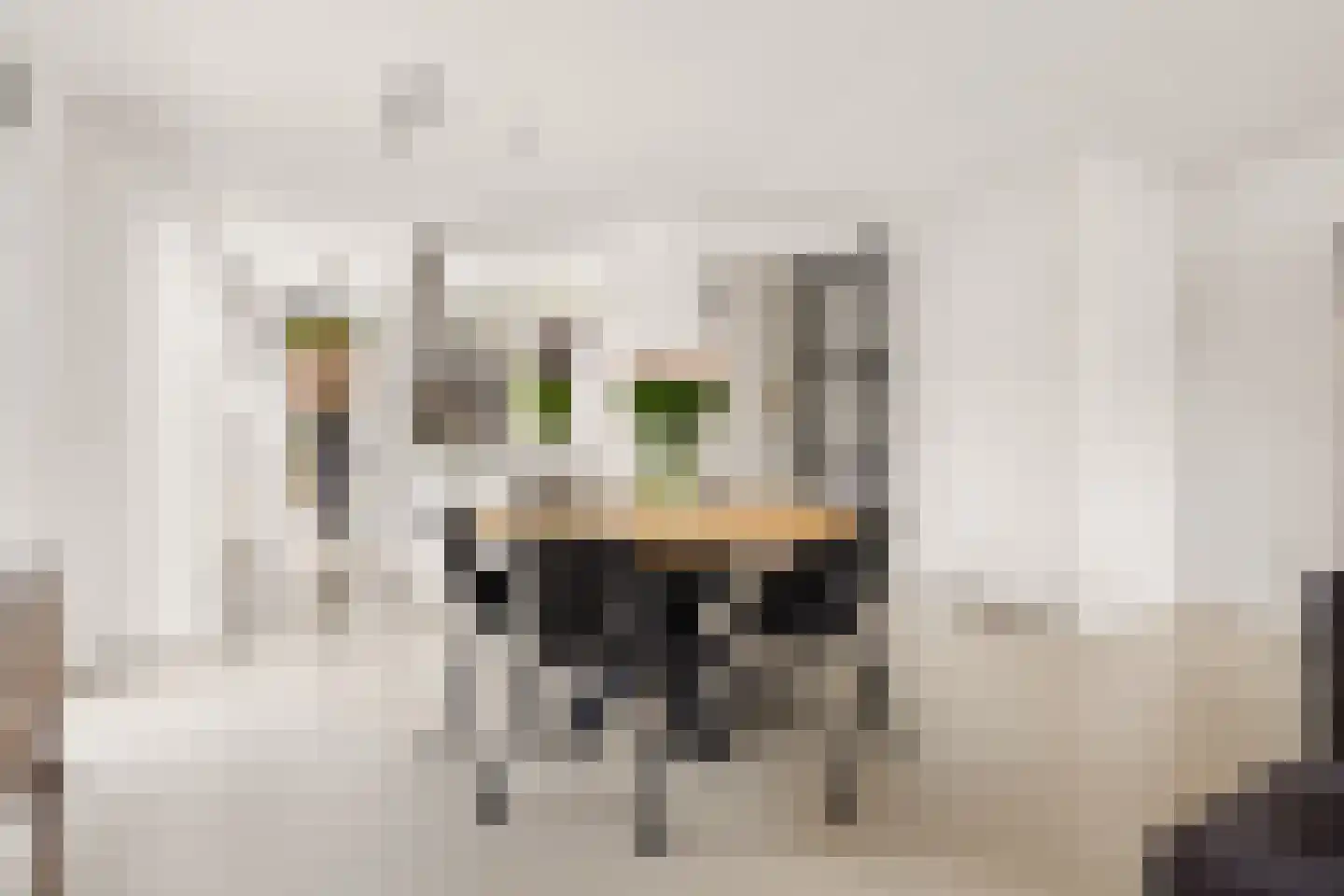 Eddastraat 30 Almere thumbnail 39