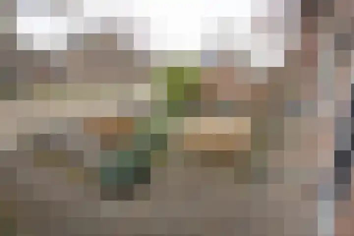 Photo de Eddy van Netten