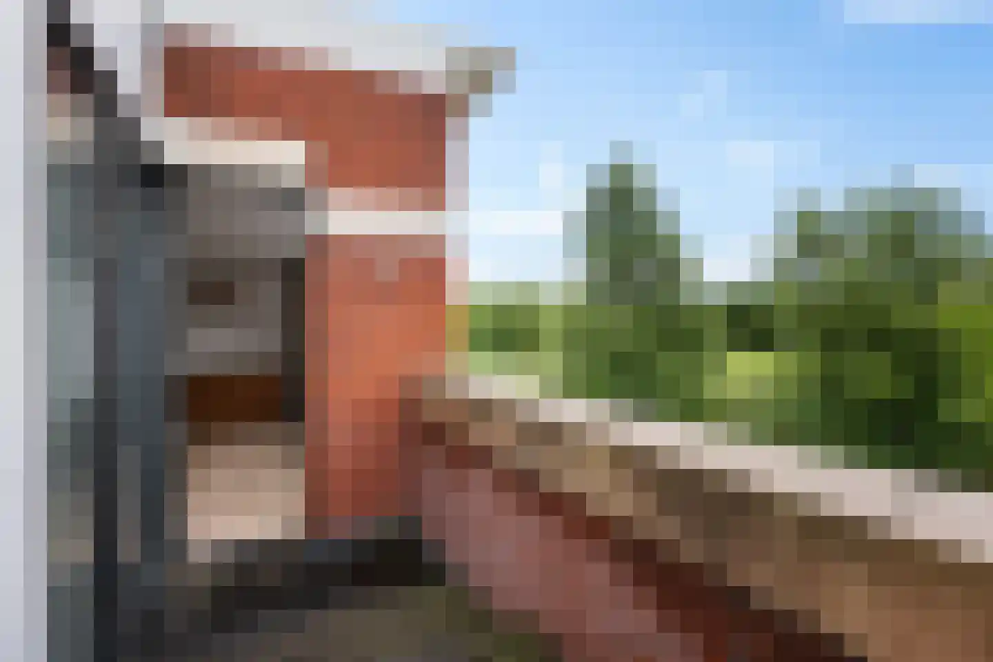 Ede Staalstraat 22 Delfzijl thumbnail 26