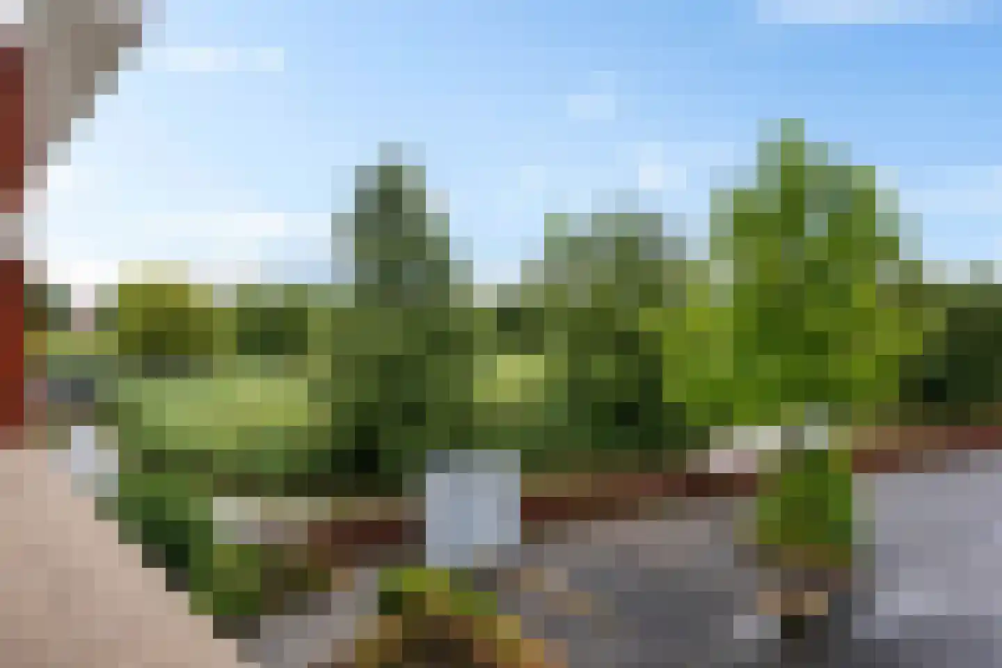 Ede Staalstraat 22 Delfzijl thumbnail 28
