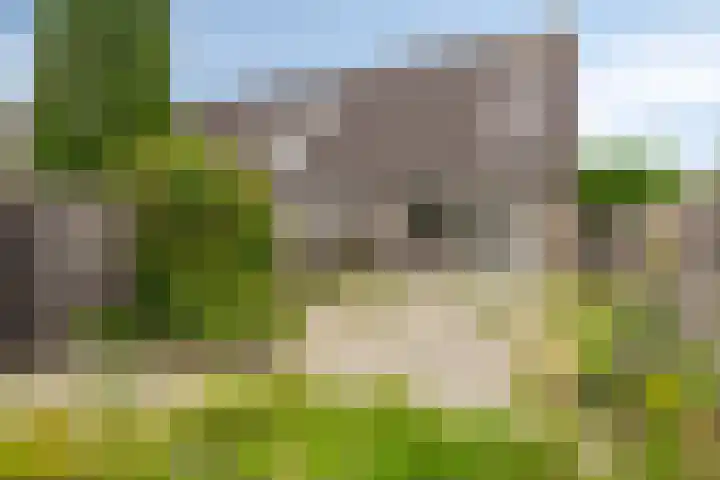 Edelenburg 91 Hoofddorp thumbnail 28