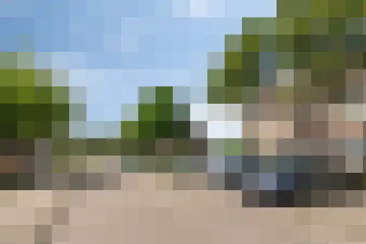 Edelenburg 91 Hoofddorp thumbnail 30