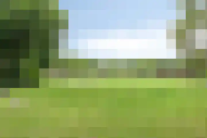 Edelenburg 91 Hoofddorp thumbnail 33