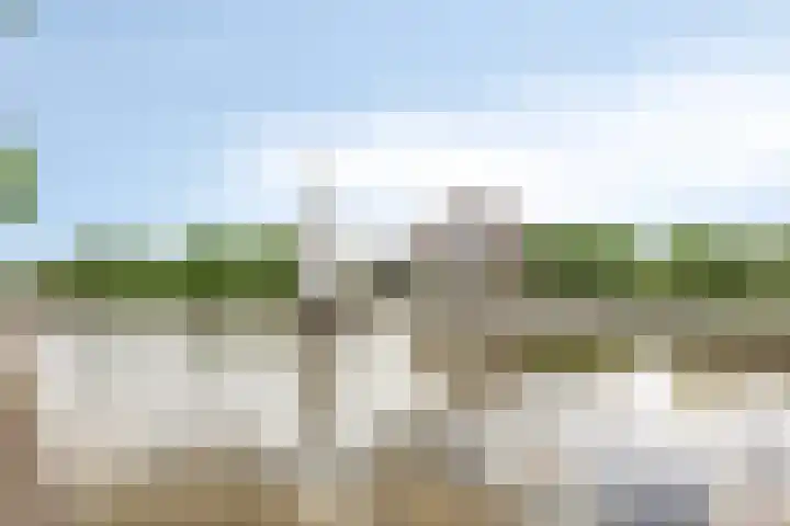 Edelenburg 91 Hoofddorp thumbnail 34