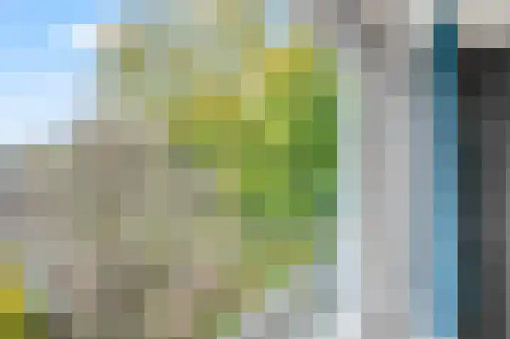 Edelenveld 207 Apeldoorn thumbnail 21