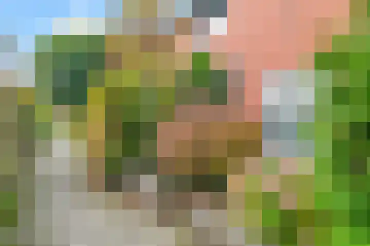 Edelenveld 207 Apeldoorn thumbnail 27