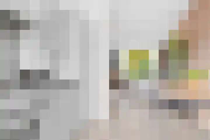 Edelenveld 207 Apeldoorn thumbnail 7