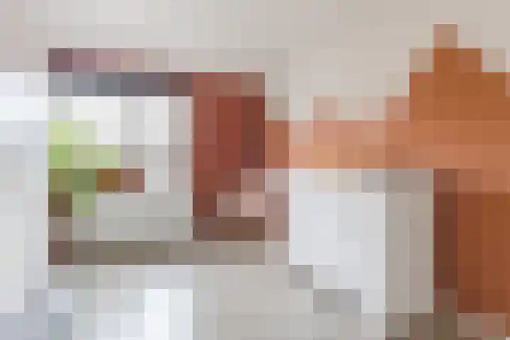 Edelenveld 211 Apeldoorn thumbnail 19