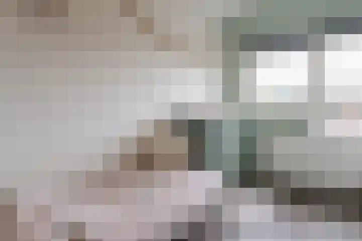 Edelenveld 211 Apeldoorn thumbnail 21