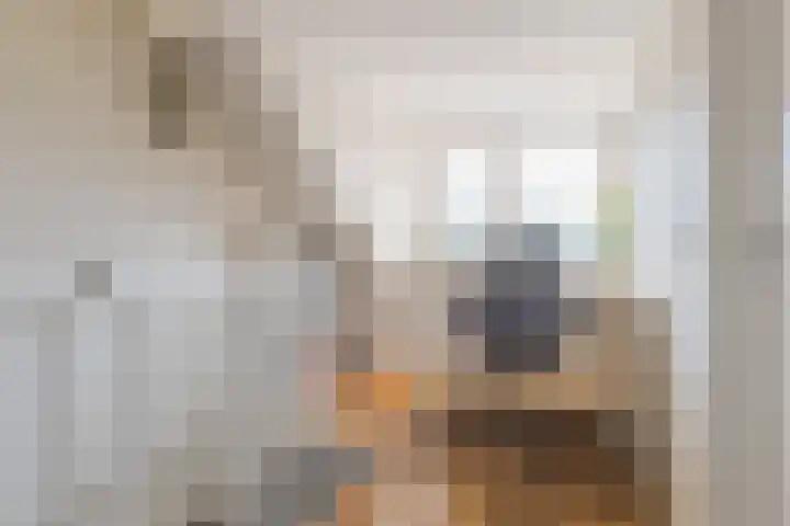 Edelenveld 211 Apeldoorn thumbnail 26