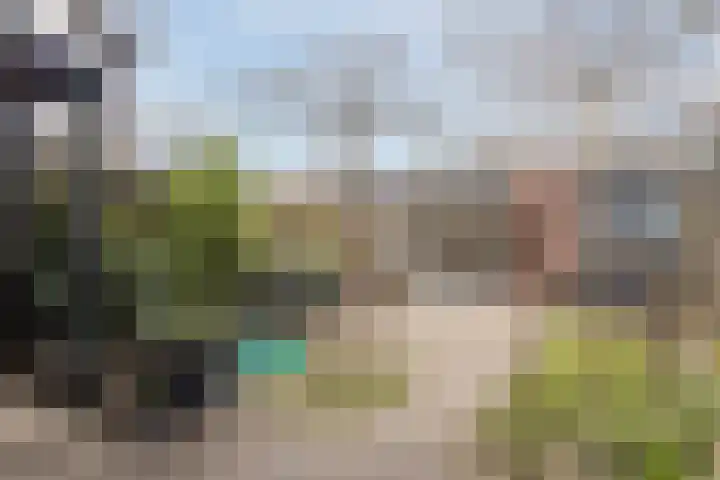Edelenveld 211 Apeldoorn thumbnail 32