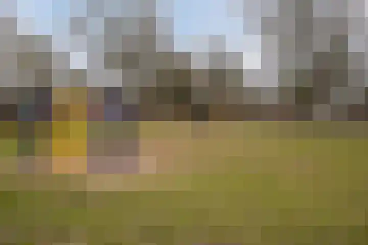 Edelenveld 211 Apeldoorn thumbnail 38