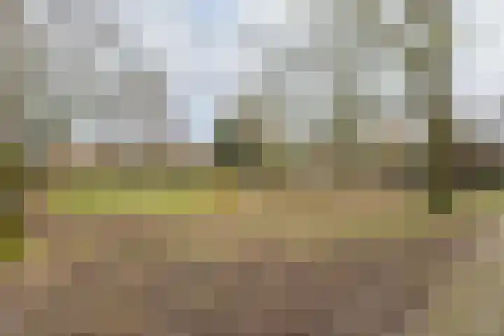 Edelenveld 211 Apeldoorn thumbnail 39