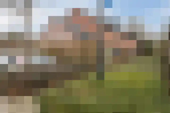 Edelenveld 211 Apeldoorn thumbnail 41