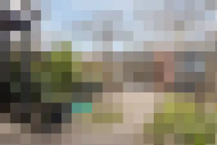 Edelenveld 211 Apeldoorn thumbnail 5