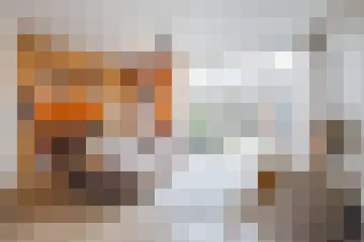 Edelenveld 211 Apeldoorn thumbnail 7