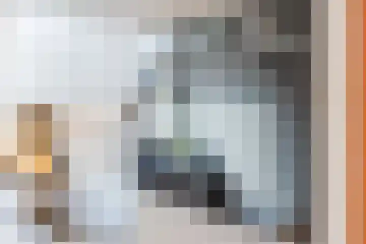 Edelenveld 211 Apeldoorn thumbnail 9