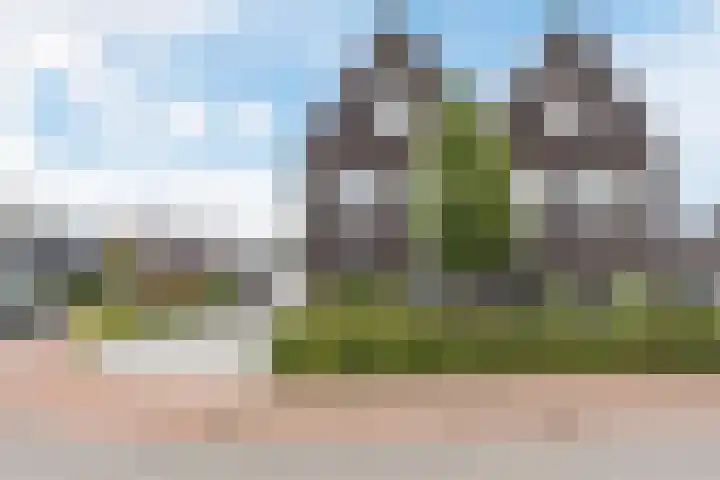 Edelhert 1 in Hoogeveen